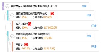 安徽信保互聯網金融信息服務有限責任公司 深耕互聯網信息服務，賦能區域金融創新